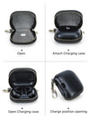 Genuine Leather Powerbeats Pro 2 Case